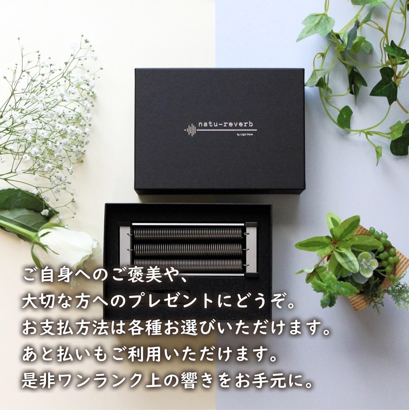 アコースティックベース用 natu-reverb AC-1b