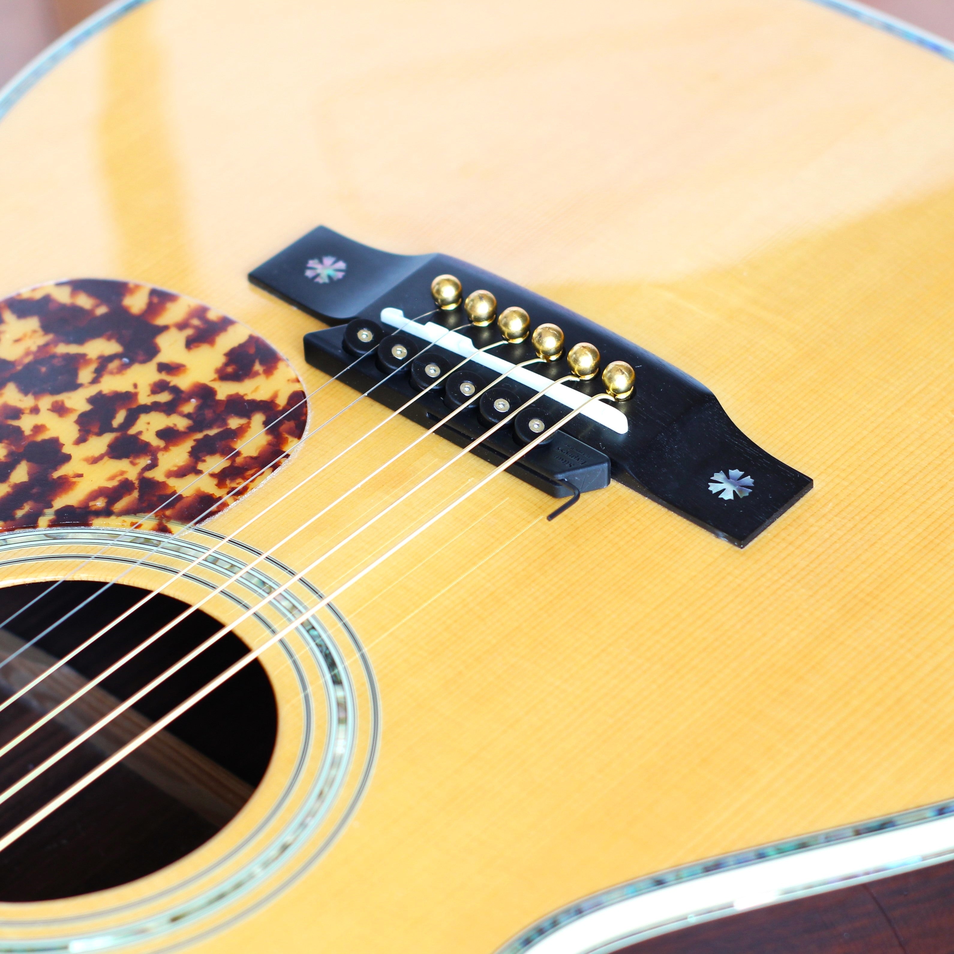 Sitar Express™ シタールエクスプレス アコギ用(旧型 生産完了)