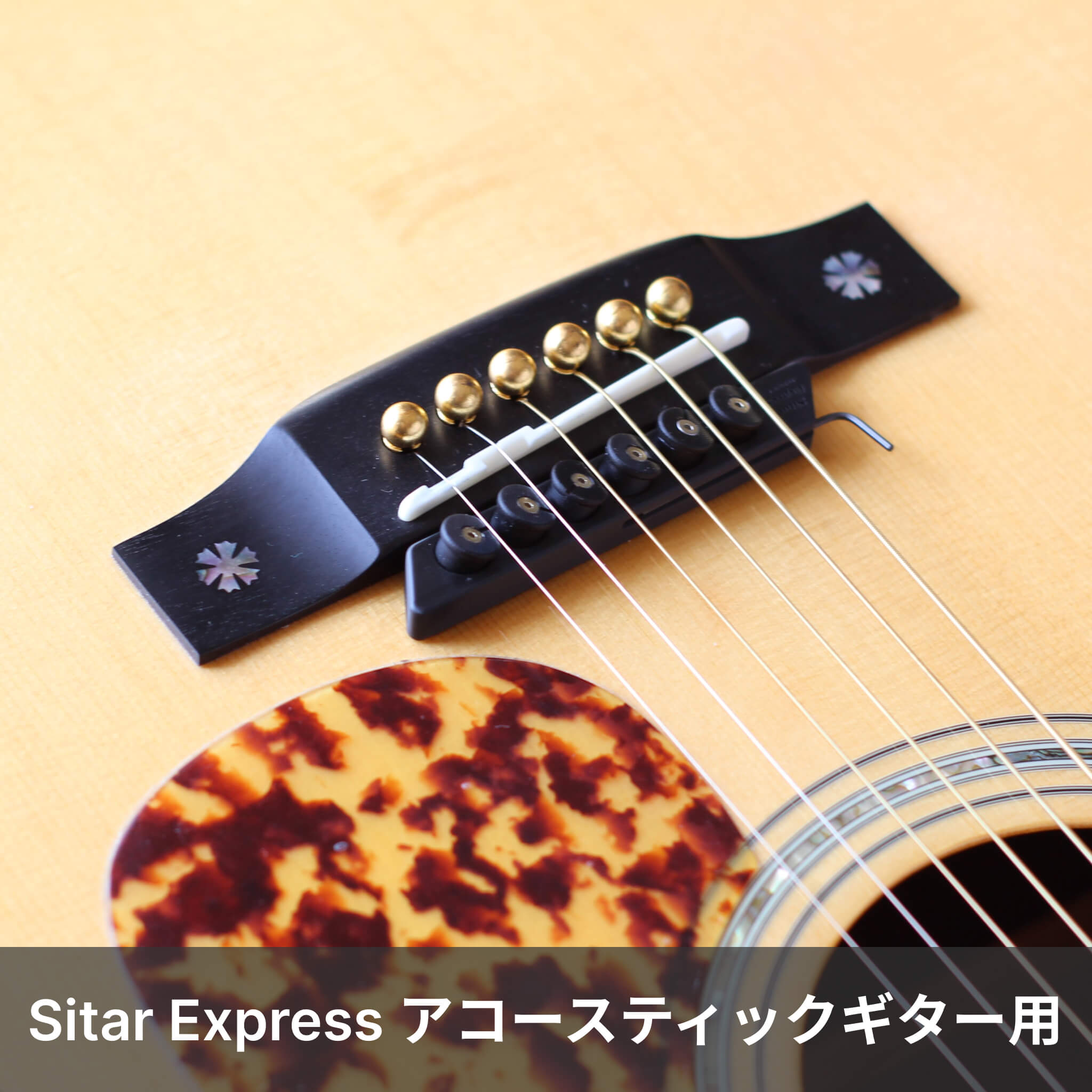 ギターでシタール風の音色を楽しむ『Sitar Express™』