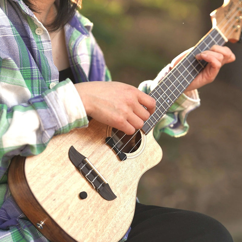 エフェクターなしでエレキをシタール化 / Sitar Express シタールエクスプレス エレキ用