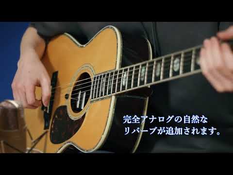 アコースティックギター用 ナチュリバーブ natu-reverb AC-1n | アンプ 