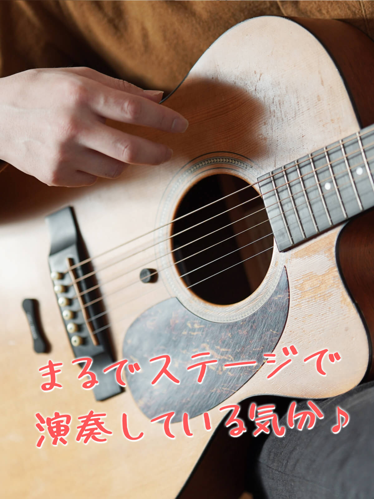 アコースティックギター用ナチュリバーブ natu-reverb AC-1n